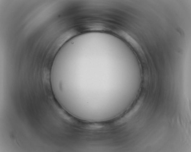X0000114231329200910231455
