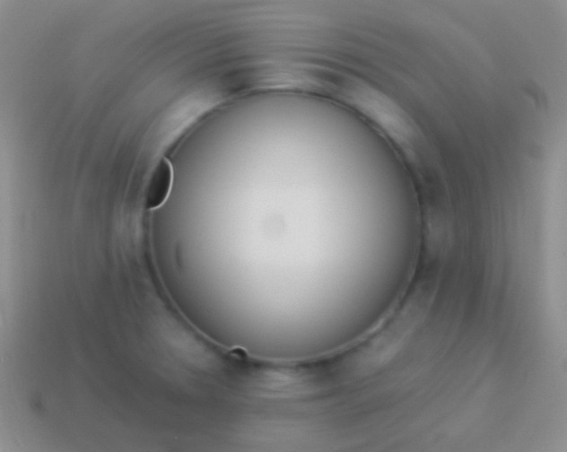 X0000114231330200910231455