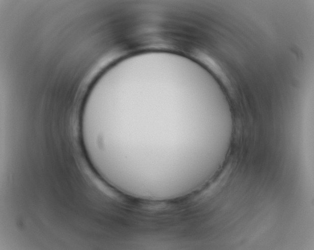 X0000114231331200910231455