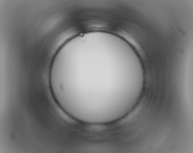 X0000114231333200910231455