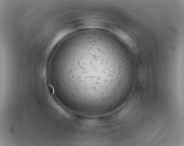 X0000114231334200910231456