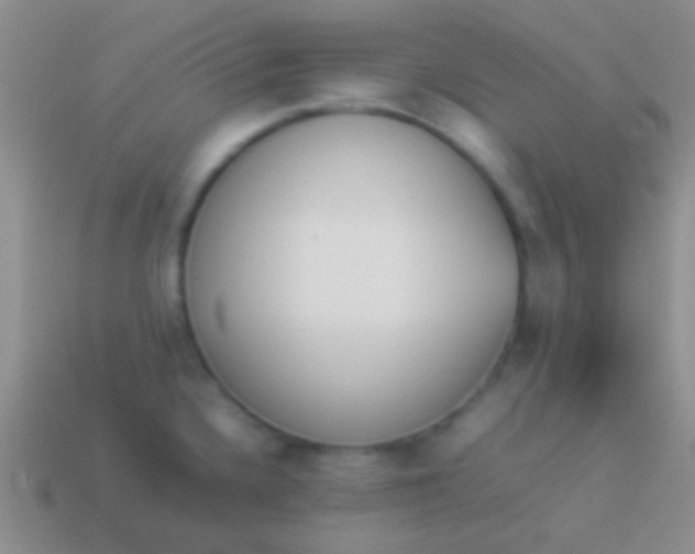 X0000114231336200910231456