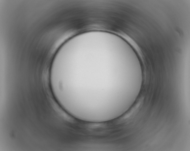 X0000114231341200910231456