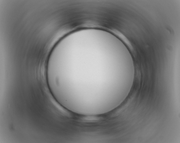 X0000114231343200910231456