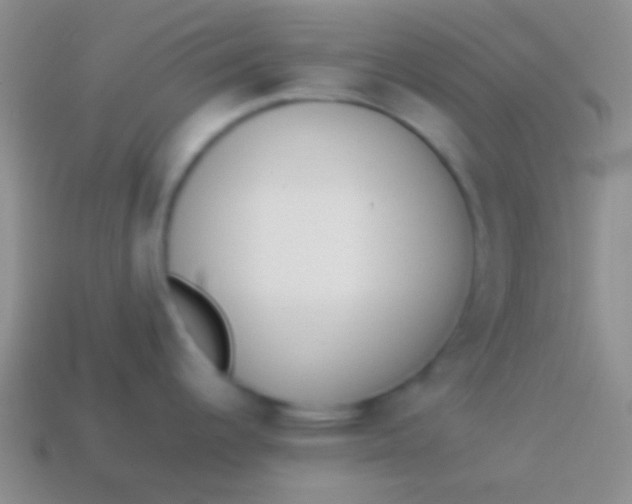 X0000114231344200910231456