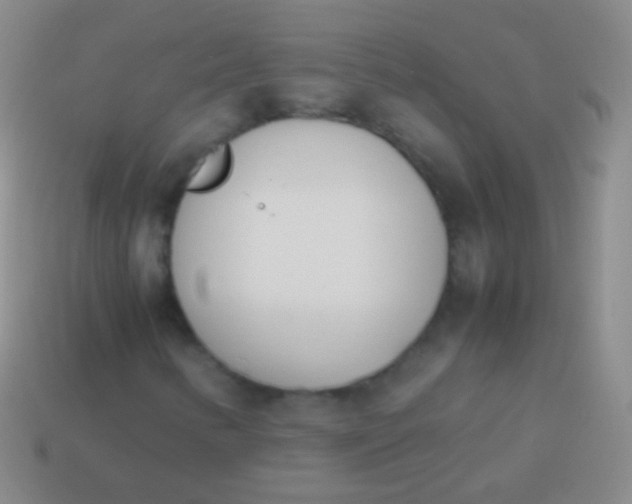 X0000114231346200910231455