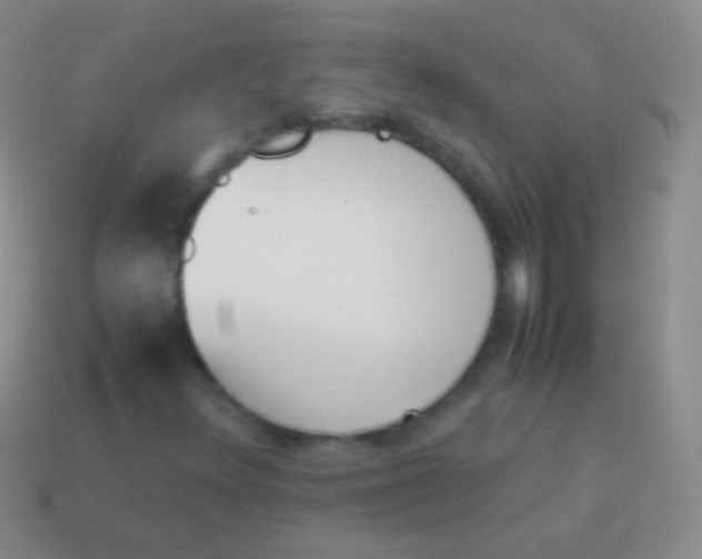X0000114231348200910231455