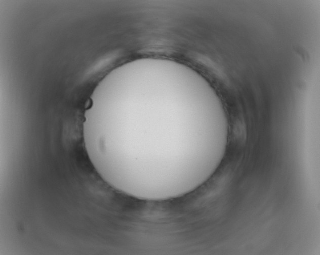 X0000114231350200910231455