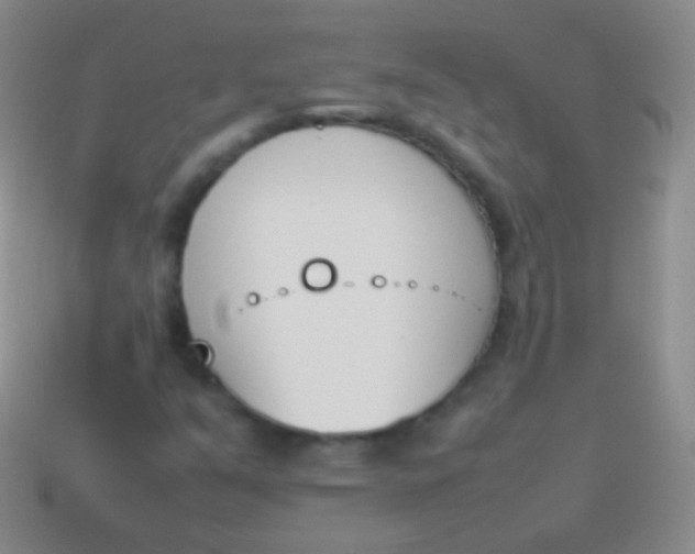 X0000114231351200910231455