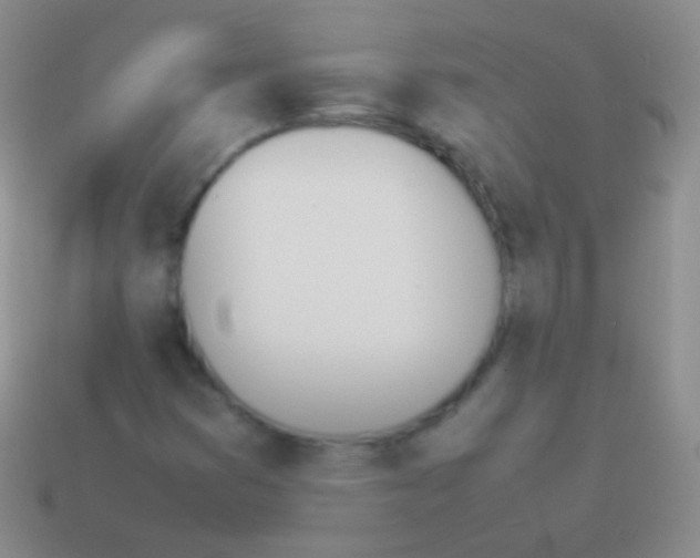 X0000114231353200910231455
