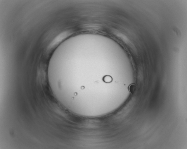X0000114231354200910231455