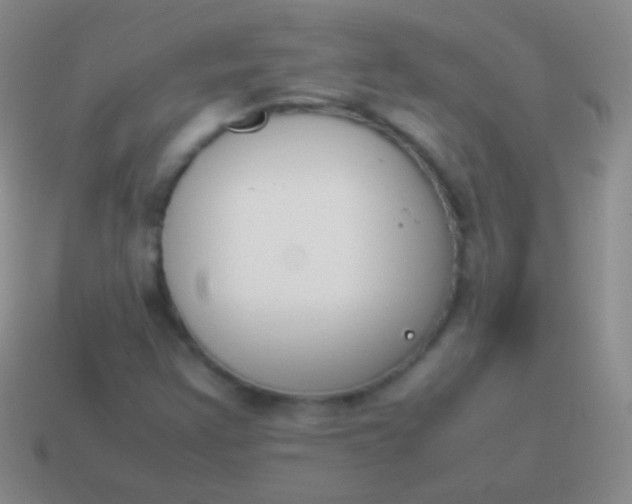 X0000114231355200910231455