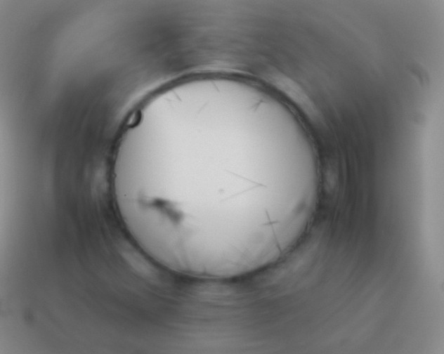 X0000114231356200910231455