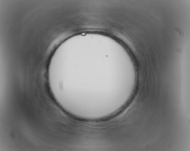 X0000114231357200910231455