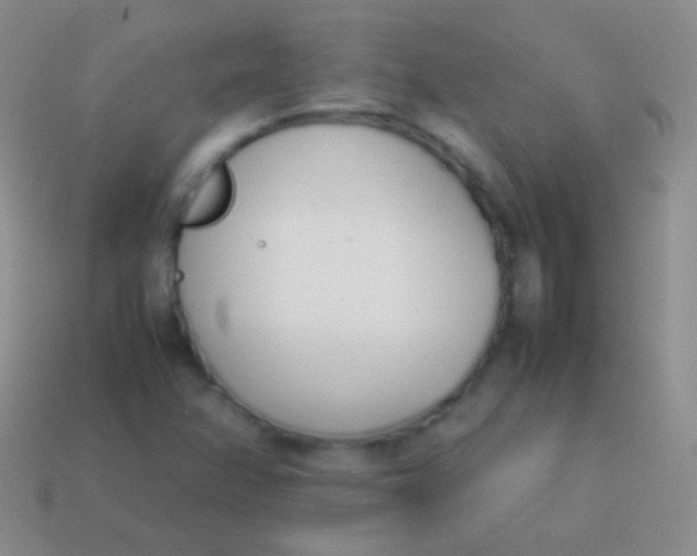 X0000114231358200910231455