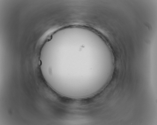 X0000114231359200910231455