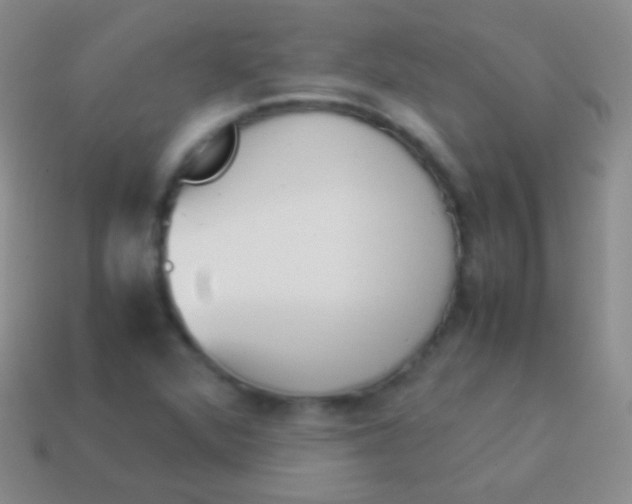 X0000114231360200910231455