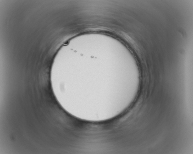 X0000114231361200910231455