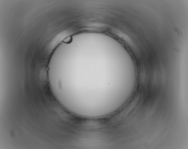 X0000114231362200910231455