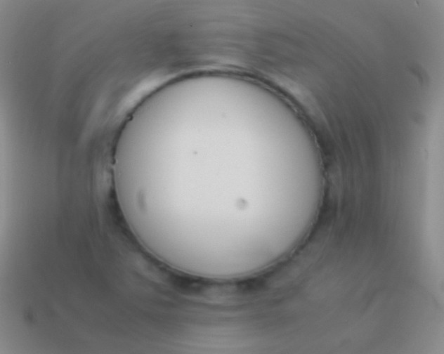 X0000114231363200910231455