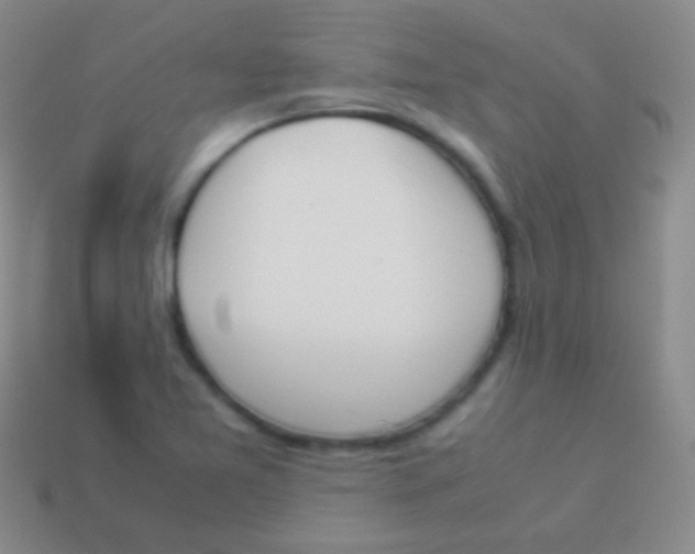 X0000114231365200910231455