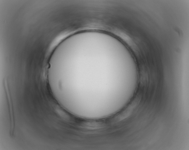 X0000114231366200910231455