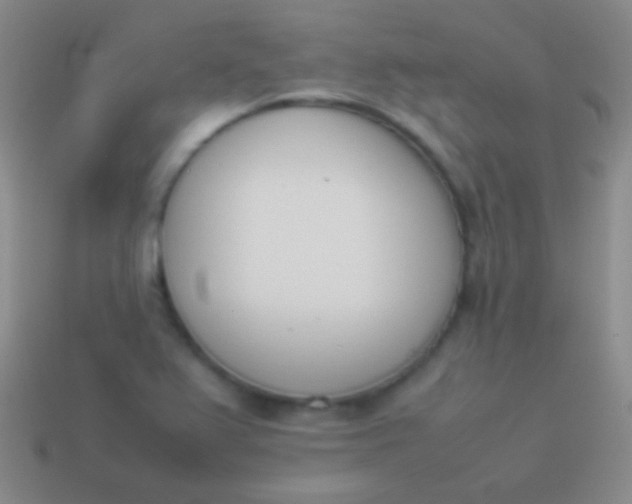 X0000114231367200910231455