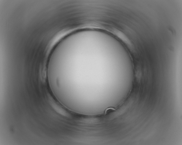 X0000114231372200910231455