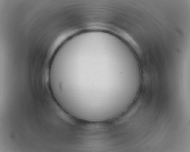 X0000114231376200910231455