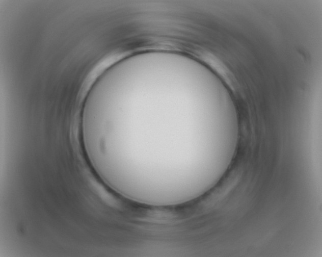 X0000114231379200910231455