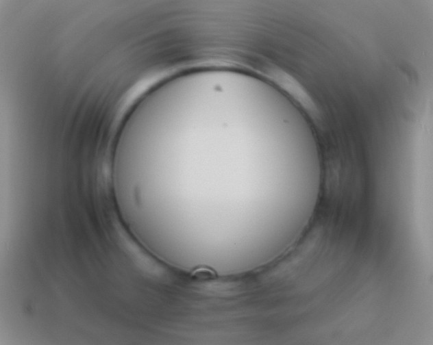 X0000114231380200910231455