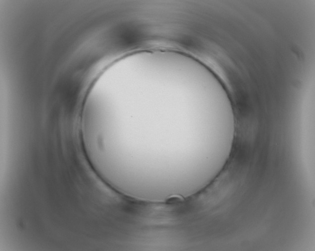 X0000114231381200910231455