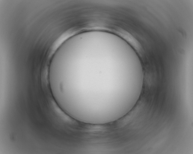 X0000114231382200910231455