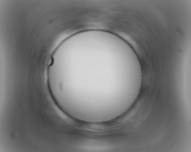 X0000114231383200910231455