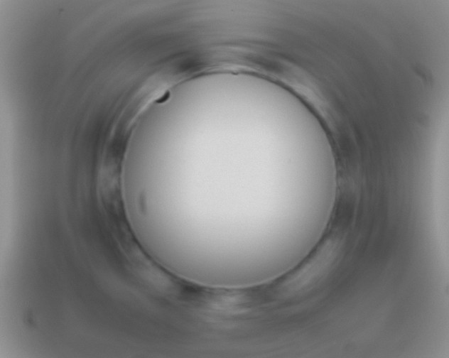 X0000114231385200910231455