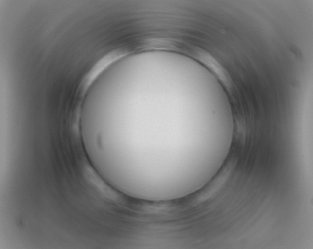 X0000114231386200910231455