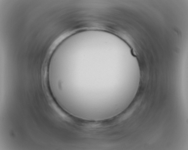 X0000114231387200910231454