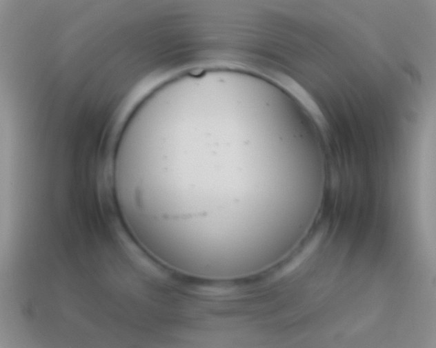 X0000114231388200910231454