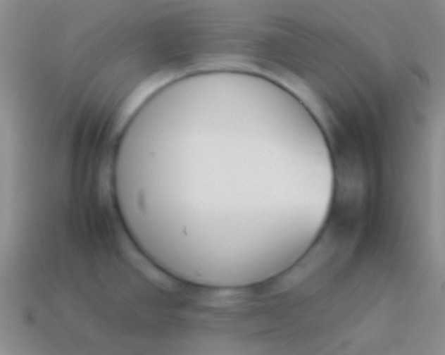 X0000114231390200910231454