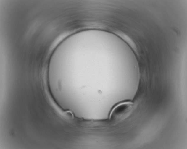 X0000114231391200910231454