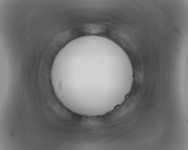 X0000114231393200910231454