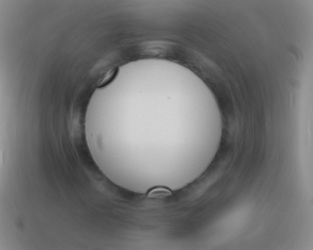 X0000114231394200910231454