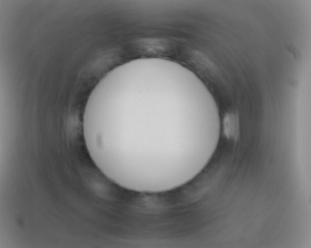 X0000114231395200910231454