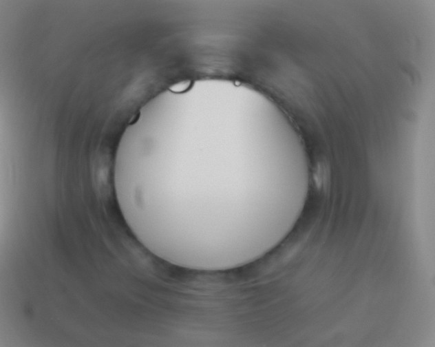 X0000114231396200910231454