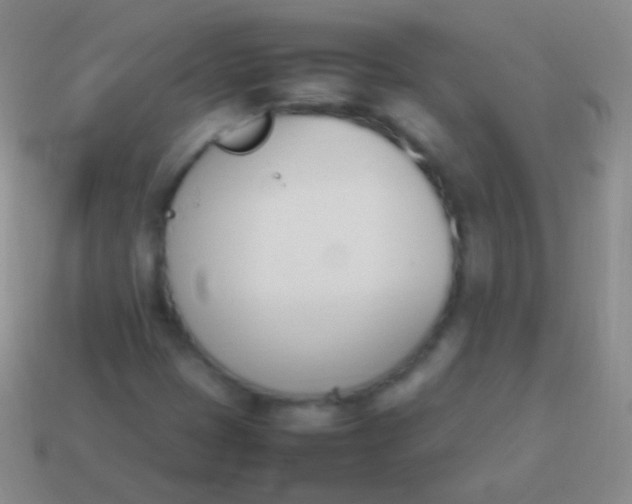 X0000114231401200910231454