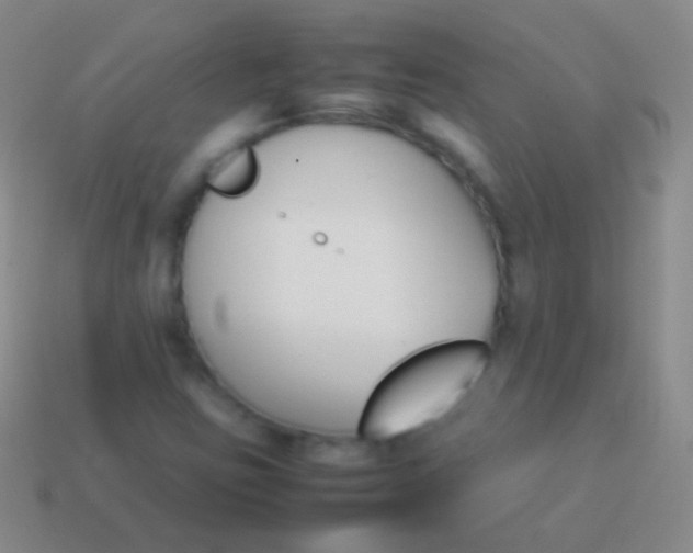 X0000114231403200910231454