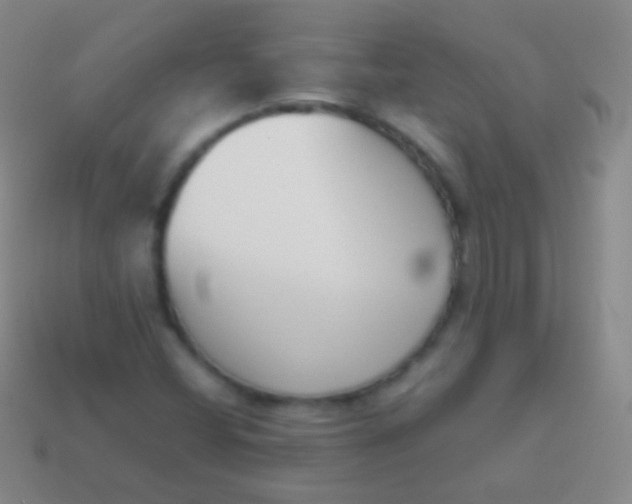 X0000114231404200910231454