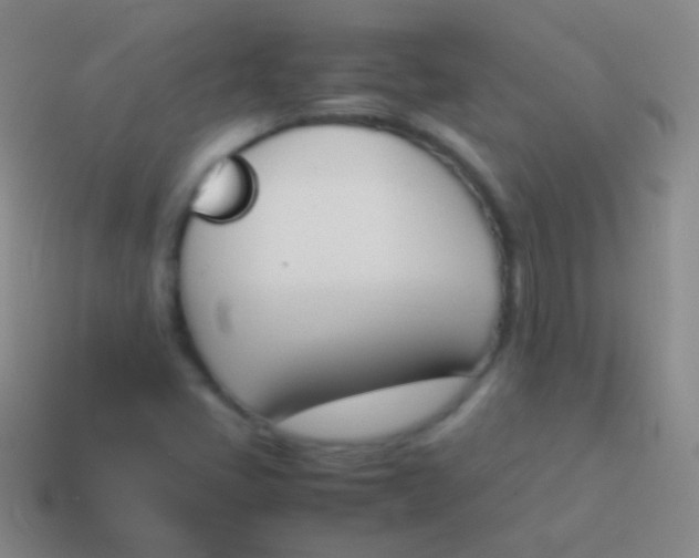 X0000114231405200910231454