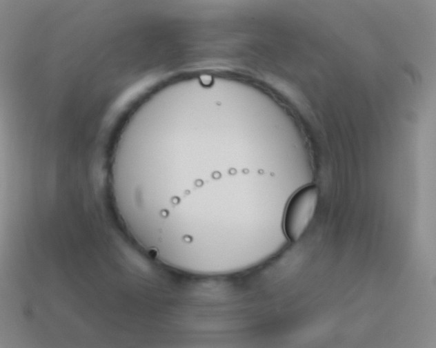 X0000114231406200910231454