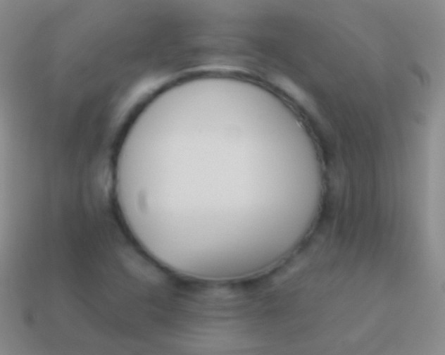 X0000114231408200910231454